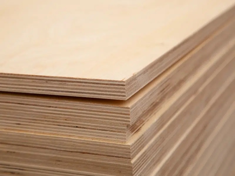 Poplar Plywood