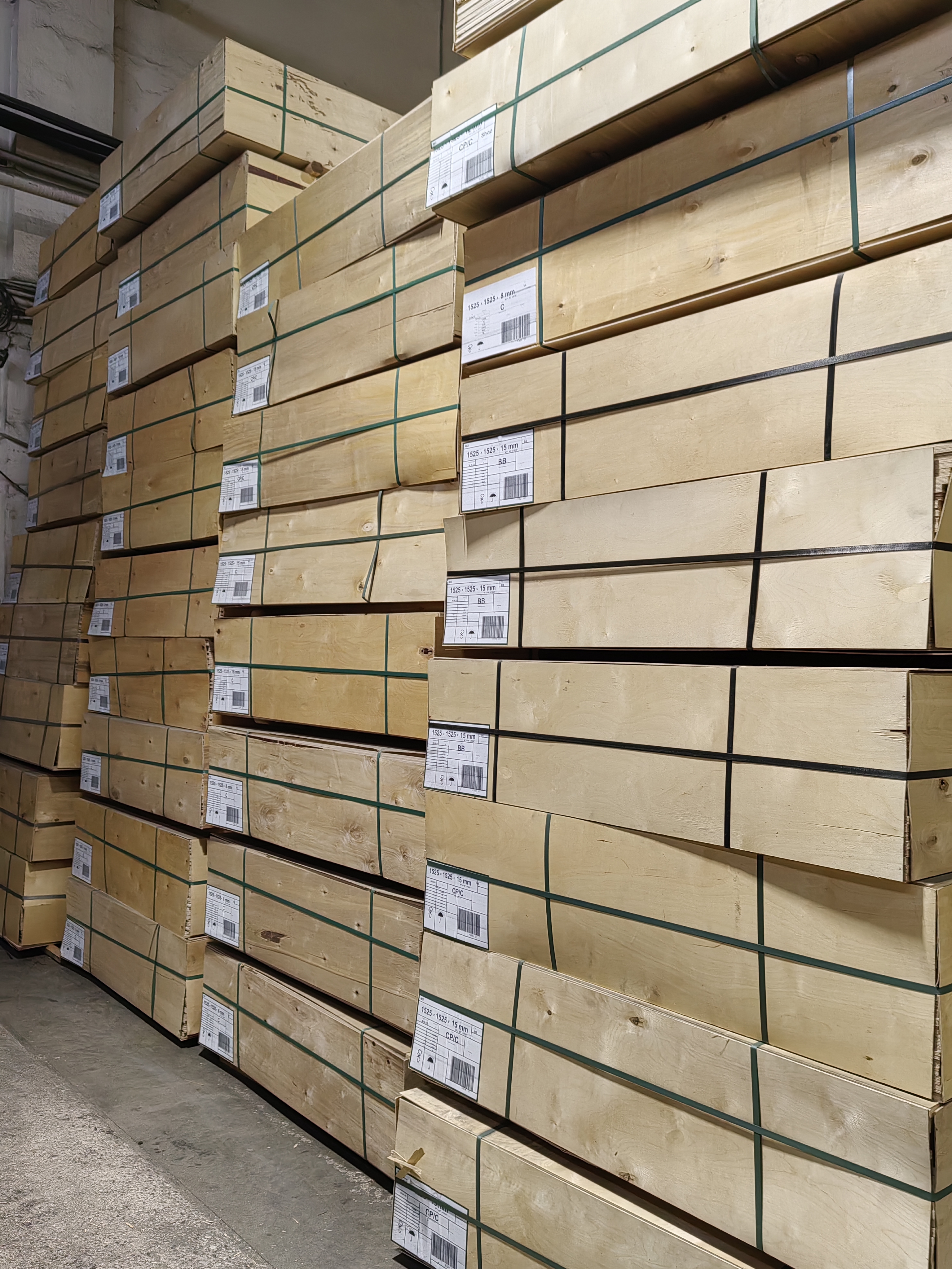 Birch Plywood