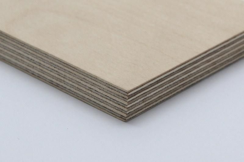 Birch Plywood