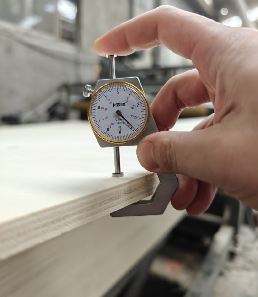 Poplar Plywood